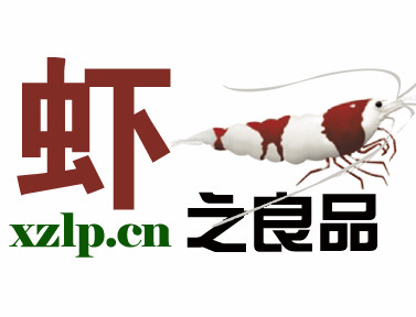 上海虾之良品水族
