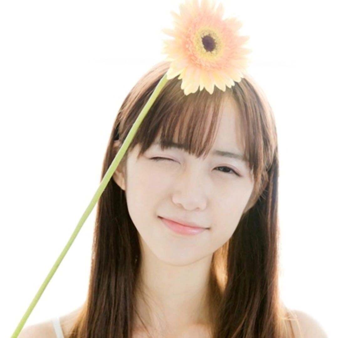 小甸家