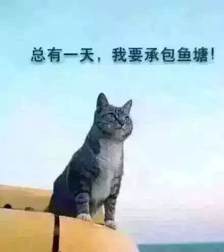 遇见家在临安