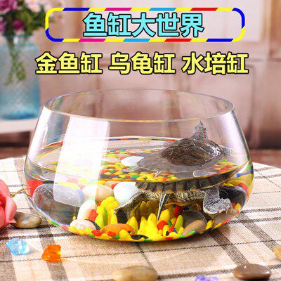鱼缸水世界的LOGO