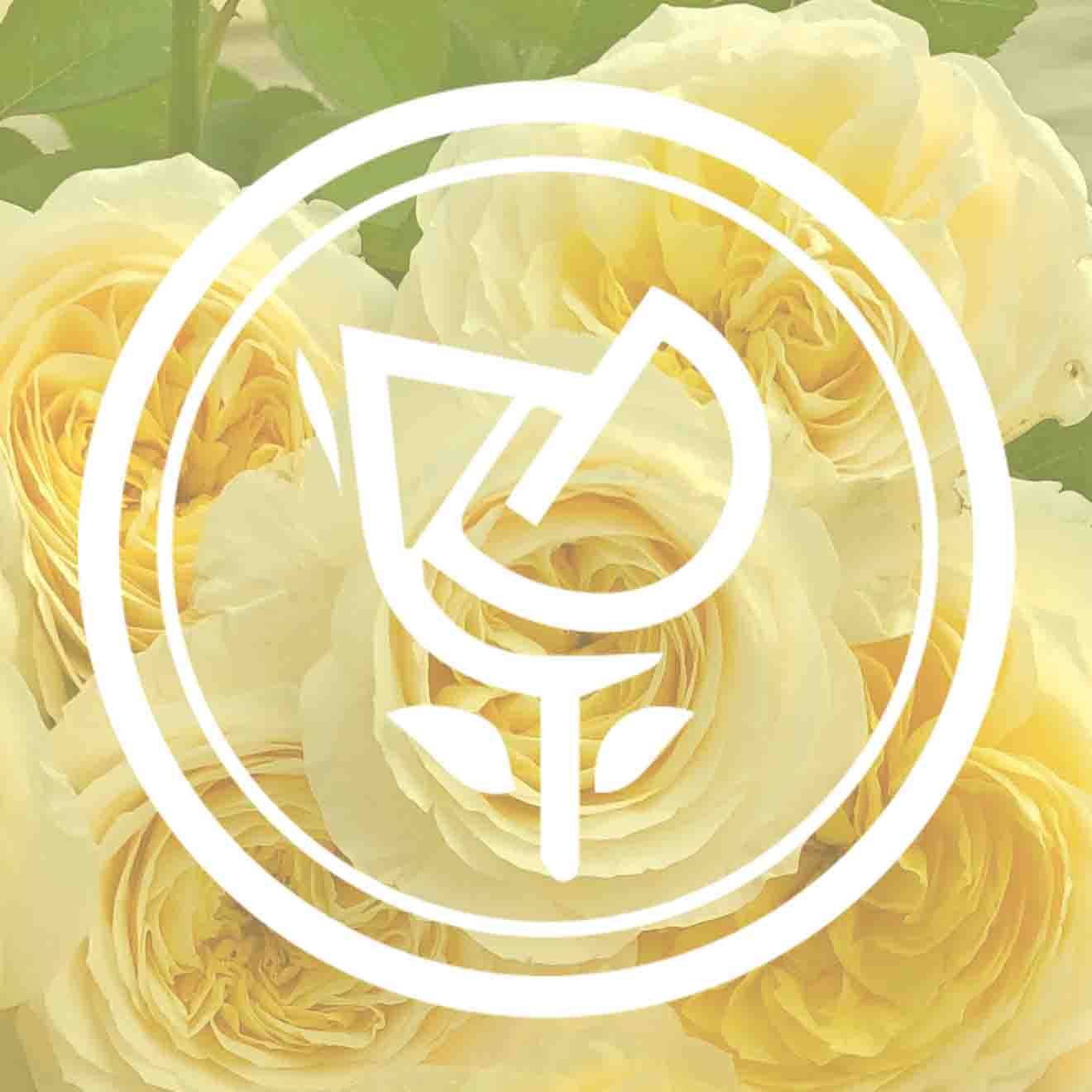 海莉的花园的LOGO