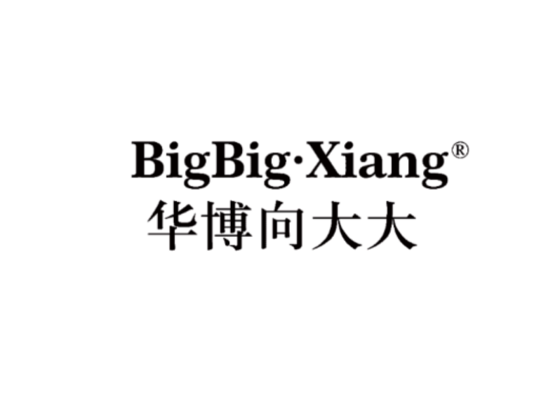 向大大正品1号店