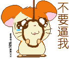 雅致生活每天