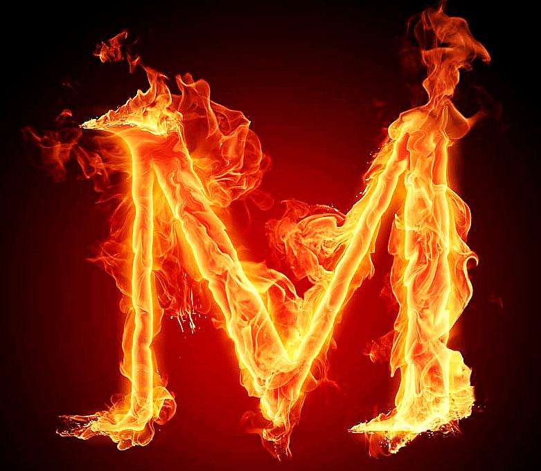 矽钢片硅钢片引领者的LOGO
