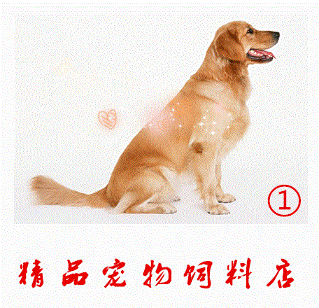 添添萌宠生活馆