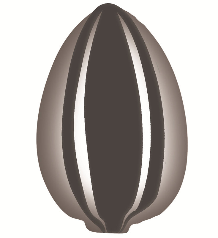 瓜子定制工作室的LOGO