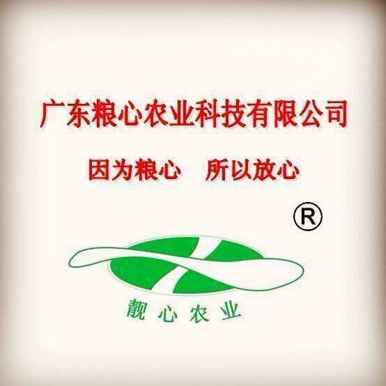 新兴粮心农业的LOGO