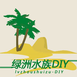 绿洲水族DIY