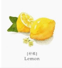 柠檬文艺清新女装