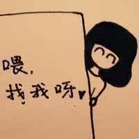 越南岘港追风果