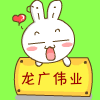 龙广伟业