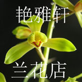 艳雅轩兰花店