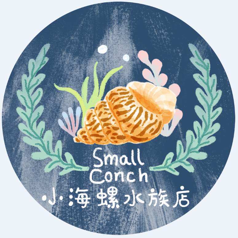 小海螺水族