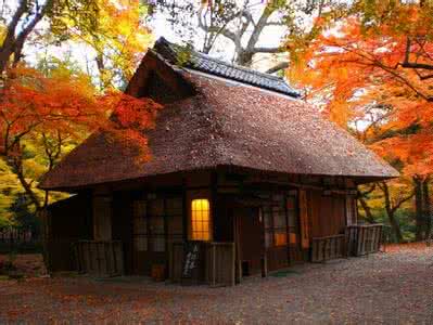 森林自由屋