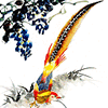 水墨花韵风情苑字画国画山水花鸟人物画的LOGO