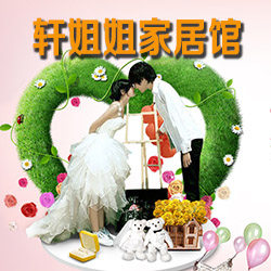 轩姐姐家居馆的LOGO