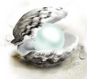 怡海贝壳馆