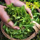 韵香茶业有限公司