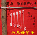 葡萄猕猴桃绑枝卡的LOGO