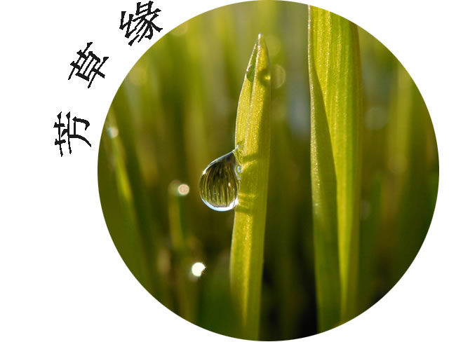 芳草缘天然健康驿站