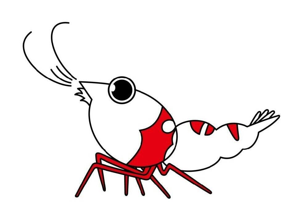韵之水水族的LOGO