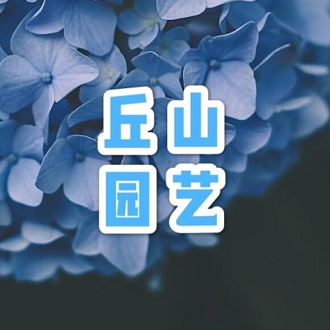 丘山园艺