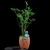 羚羊电子diy套件