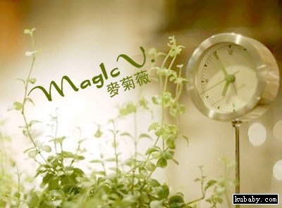 麦菊薇绒线绣