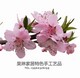 昊琳家居特色手工艺品