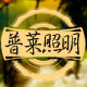 普莱照明的LOGO