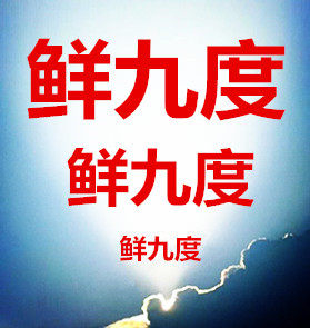 鲜九度水果企业店