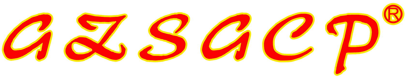 市光车品的LOGO