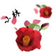 小林的花妆