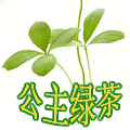 宁晋县咏阳食品