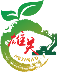 雄关 惠鸿果脯