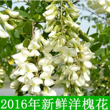 花都特产店的LOGO