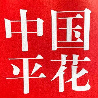 中国平花联盟滑雪用品的LOGO
