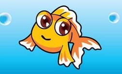 海角天涯水族