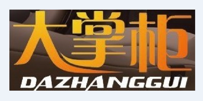 大掌柜车饰