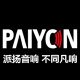 派扬音响有限公司的LOGO