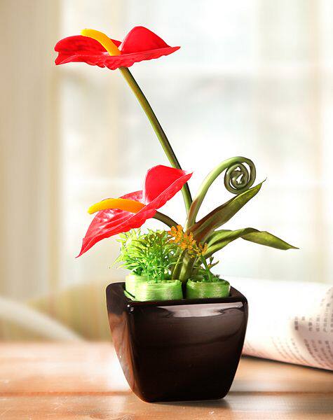 江枫园花卉园艺的LOGO