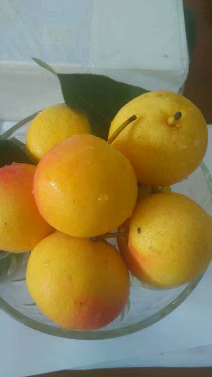 鞍果小铺