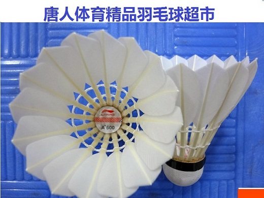 二手羽毛球之家的LOGO