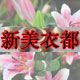 新美衣都