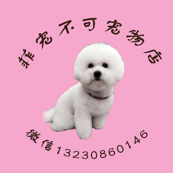 菲宠不可宠物店