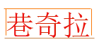 巷奇拉旗舰店