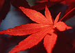 韵梅坊个人护理汗蒸