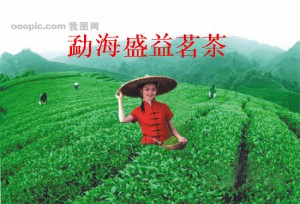 云南众康茶业有限公司