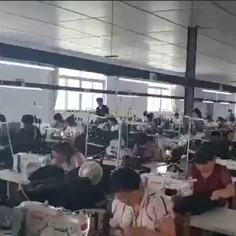 战术风行