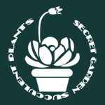 神秘园 多肉植物